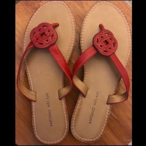 Antonio Melani Flip Flops